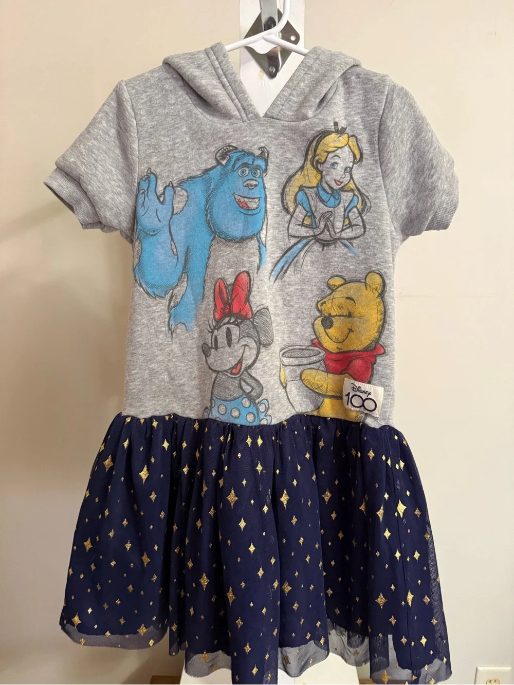Disney 100th Anniversary Dress